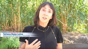 Ex subsecretaria dijo a Fiscalía que entregó a Montes un informe "antes que Caso Fundaciones saliera en la prensa" Ex subsecretaria dijo a Fiscalía que entregó a Montes un informe "antes que Caso Fundaciones saliera en la prensa"