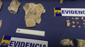 Familia exhibía fósiles de dinosaurios en TikTok en la región del Maule: PDI recuperó más de 30 fragmentos Familia exhibía fósiles de dinosaurios en TikTok en la región del Maule: PDI recuperó más de 30 fragmentos