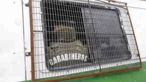 Quilicura: detienen a menor que intimidó y robó una camioneta en local de comida Quilicura: detienen a menor que intimidó y robó una camioneta en local de comida