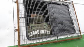 Maipú: detienen a cuatro sujetos por disparos fuera de una iglesia Maipú: detienen a cuatro sujetos por disparos fuera de una iglesia