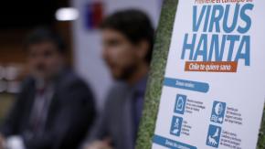 Posible caso de virus hanta en el Maule: Trasladan a paciente en estado grave a Santiago