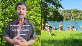Final feliz: Hombre que pedía ayuda para encontrar arriendo con sus 26 perros encontró casa Final feliz: Hombre que pedía ayuda para encontrar arriendo con sus 26 perros encontró casa