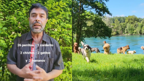 Hombre pide ayuda para encontrar arriendo que lo acepte con sus 26 perros: “Son parte de nuestra familia” Hombre pide ayuda para encontrar arriendo que lo acepte con sus 26 perros: “Son parte de nuestra familia”