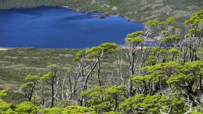 Venden "isla virgen" en el sur de Chile: ¿Se puede efectuar la compraventa de una tierra de este tipo? Venden "isla virgen" en el sur de Chile: ¿Se puede efectuar la compraventa de una tierra de este tipo?