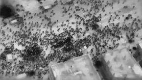 Un centenar de palestinos mueren en Gaza durante reparto de ayuda: Hamás acusa disparos de israelíes
