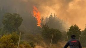 Gobierno anunció toque de queda para Viña del Mar, Quilpué, Limache y Villa Alemana
