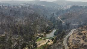 Así quedó el Jardín Botánico de Viña del Mar tras los incendios forestales Así quedó el Jardín Botánico de Viña del Mar tras los incendios forestales