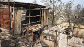 SML eleva a 123 el número de personas fallecidas por incendios forestales en la región de Valparaíso SML eleva a 123 el número de personas fallecidas por incendios forestales en la región de Valparaíso