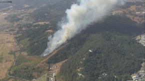 Detienen a dos personas por incendio forestal en Cerro Ñielol en Temuco: Habrían iniciado el fuego por negligencia Detienen a dos personas por incendio forestal en Cerro Ñielol en Temuco: Habrían iniciado el fuego por negligencia