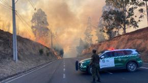 Alcalde de Galvarino pide ayuda ante avance de incendio forestal: "Tenemos mucho miedo que llegue a la ciudad" Alcalde de Galvarino pide ayuda ante avance de incendio forestal: "Tenemos mucho miedo que llegue a la ciudad"