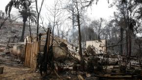 Por falta de pruebas: Fiscalía no formalizará a los detenidos sospechosos de iniciar fuego en Viña del Mar Por falta de pruebas: Fiscalía no formalizará a los detenidos sospechosos de iniciar fuego en Viña del Mar