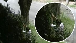 Con arresto domiciliario nocturno por disparar a señaléticas: Qué se sabe del "pistolero de La Reina" Con arresto domiciliario nocturno por disparar a señaléticas: Qué se sabe del "pistolero de La Reina"