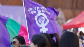 Parlamentarios de oposición recurren al TC por Ley integral de violencia de género: Acusan sesgo ideológico