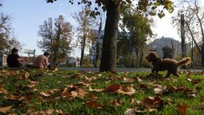 ¿Caerá algo de lluvia o bajarán las temperaturas?: Cómo se viene el otoño 2024 para Chile