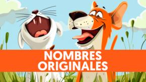 20 nombres originales para tu mascota, recomendados por una Inteligencia Artificial 20 nombres originales para tu mascota, recomendados por una Inteligencia Artificial