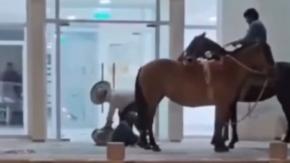 Pelea entre jinetes terminó con 2 heridos y un caballo lesionado en Longaví Pelea entre jinetes terminó con 2 heridos y un caballo lesionado en Longaví