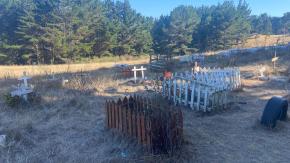 Decretan arraigo nacional para madre acusada de enterrar a bebé en cementerio de mascotas de Talcahuano Decretan arraigo nacional para madre acusada de enterrar a bebé en cementerio de mascotas de Talcahuano