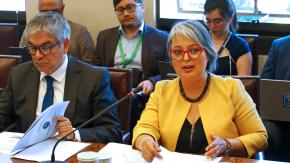 Ministra Jara: "Pareciera que algunos empresarios hablaran desde la oposición o la derecha política" Ministra Jara: "Pareciera que algunos empresarios hablaran desde la oposición o la derecha política"