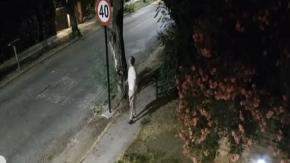 Detienen a pistolero de La Reina, el hombre que salió a dispararle a señaléticas de tránsito en la noche Detienen a pistolero de La Reina, el hombre que salió a dispararle a señaléticas de tránsito en la noche