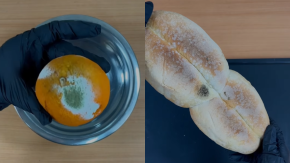 ¿Se puede comer alimentos con hongos? Chef aclara si basta con cortar solo la zona con moho ¿Se puede comer alimentos con hongos? Chef aclara si basta con cortar solo la zona con moho