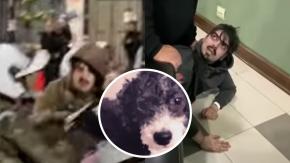 Sujeto acusado de lanzar perro desde piso 12 en Santiago Centro incumplió arresto domiciliario: Vecinos lo agredieron Sujeto acusado de lanzar perro desde piso 12 en Santiago Centro incumplió arresto domiciliario: Vecinos lo agredieron