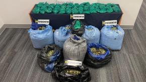 Tres bolivianos detenidos en Isla de Maipo: incautan 124 kilos de hojas de coca