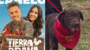Recta final de 'Tierra Brava': dan a conocer quién se quedará con Canelo tras fin del reality Recta final de 'Tierra Brava': dan a conocer quién se quedará con Canelo tras fin del reality