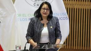 Contraloría indaga año sabático de Elisa Loncon y pide antecedentes a la Usach Contraloría indaga año sabático de Elisa Loncon y pide antecedentes a la Usach