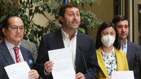 Muertes por influenza: UDI pide renuncia de subsecretaria Albagli y pide auditoría de Controlaría por campaña de vacunación Muertes por influenza: UDI pide renuncia de subsecretaria Albagli y pide auditoría de Controlaría por campaña de vacunación