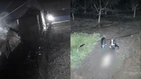 Detienen a banda que robaba y faenaba cerdos para venderlos en mercado ilegal Detienen a banda que robaba y faenaba cerdos para venderlos en mercado ilegal