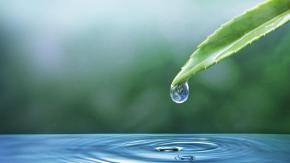 Lo que nunca nos contaron en el colegio sobre el ciclo del agua Lo que nunca nos contaron en el colegio sobre el ciclo del agua