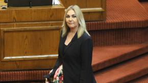 Diputada Pamela Jiles presentará nuevo proyecto para permitir el retiro de fondos de AFP Diputada Pamela Jiles presentará nuevo proyecto para permitir el retiro de fondos de AFP