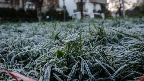 Se vienen heladas con temperaturas bajo 0°C: El pronóstico para los próximos días de Gianfranco Marcone Se vienen heladas con temperaturas bajo 0°C: El pronóstico para los próximos días de Gianfranco Marcone