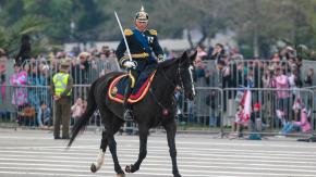Murió "Candelaria", la yegua que participaba en la Parada Militar Murió "Candelaria", la yegua que participaba en la Parada Militar