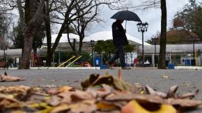 Sistema frontal: Reportan muerte de una persona tras caída de poste en Linares Sistema frontal: Reportan muerte de una persona tras caída de poste en Linares