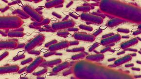 OPS aclaró que Chile tomó medidas por alerta de "bacteria asesina" emitida en 2023 OPS aclaró que Chile tomó medidas por alerta de "bacteria asesina" emitida en 2023