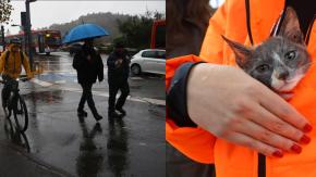 Nuevo sistema frontal llegará a la región Metropolitana: ¿Cuándo comenzará la lluvia? Nuevo sistema frontal llegará a la región Metropolitana: ¿Cuándo comenzará la lluvia?