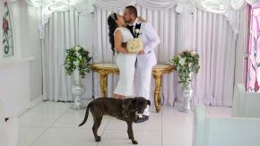 ¿Te gustaría?: Tu mascota puede ser tu testigo de matrimonio en Estados Unidos ¿Te gustaría?: Tu mascota puede ser tu testigo de matrimonio en Estados Unidos