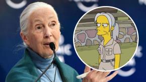 Jane Goodall: Quién es la famosa defensora de la naturaleza que visitará Chile (y salió en Los Simpson)