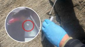 El escupo que permitió identificar a uno de los imputados en triple homicidio de Carabineros en Cañete El escupo que permitió identificar a uno de los imputados en triple homicidio de Carabineros en Cañete