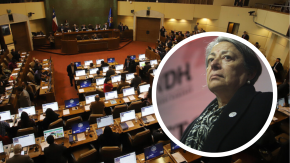 Cámara aprueba solicitar remoción de la directora del INDH Consuelo Contreras