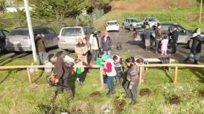 Desde Chiloé: Festival Pala en Mano plantó 10 mil árboles en Ancud para combatir la deforestación insular 