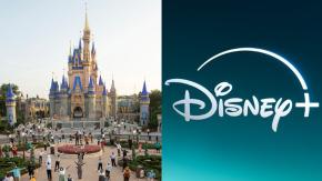 Suscripción a Disney+ podría impedir que hombre demande a la compañía por muerte de su esposa en un parque temático Suscripción a Disney+ podría impedir que hombre demande a la compañía por muerte de su esposa en un parque temático