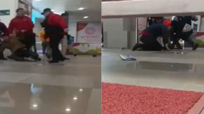 Violento turbazo en supermercado de Quilpué: Siete delincuentes se trenzaron a golpes con guardias