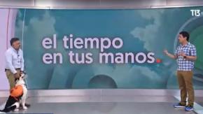 “Sam”: El perrito ambientalista | El Tiempo en Tus Manos