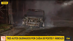 Tres autos quemados por caída de postes y árboles en Macul