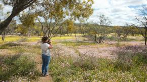 La carrera por publicar fotos de naturaleza en las redes sociales puede destruir ecosistemas o provocar extinciones La carrera por publicar fotos de naturaleza en las redes sociales puede destruir ecosistemas o provocar extinciones