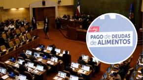 Gobierno impulsa reforma para impedir que deudores de pensión alimenticia sean candidatos al Congreso Gobierno impulsa reforma para impedir que deudores de pensión alimenticia sean candidatos al Congreso