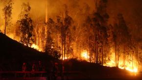 PDI detiene a tercer presunto implicado en megaincendios de Valparaíso