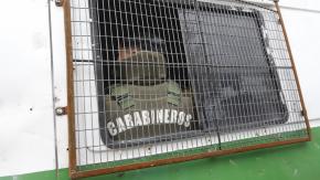 Le habrían quitado su arma de servicio: Funcionario policial resulta baleado tras fiscalización